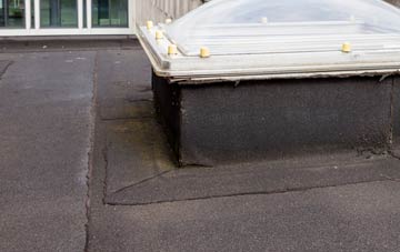 disadvantages of Frieston flat roofs